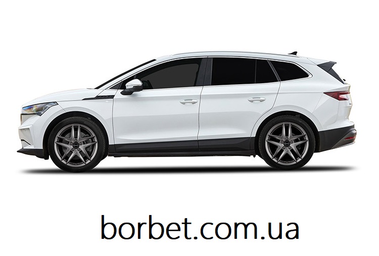 BORBET Z.jpg